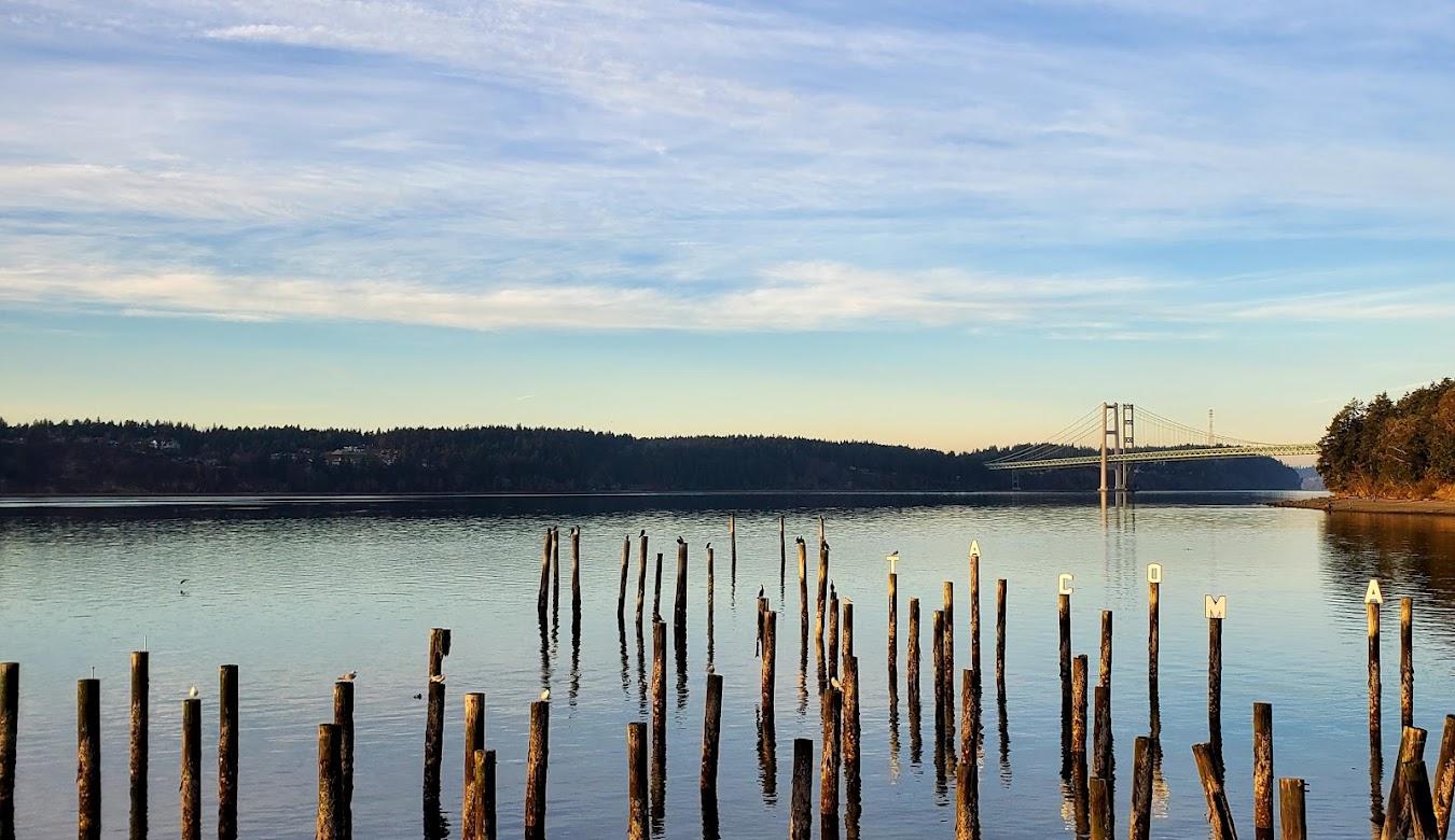 View of Narrows Bridge from Titlow Beach