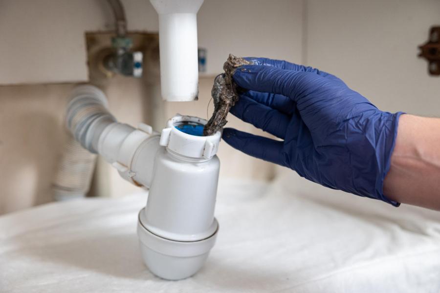 Plumber cleaning a sink p-trap and sink siphon